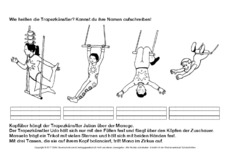 Zirkus-Logical-Trapez.pdf